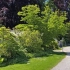 Дизајн на пејзаж само со loveубов - 8 идеи за градинарски композиции